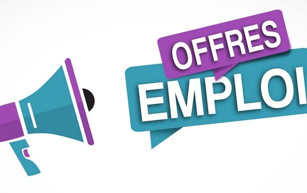 70 offres d’emploi pour débutants et expérimentés