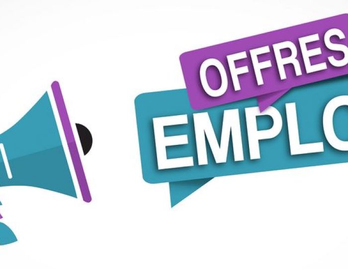 70 offres d’emploi pour débutants et expérimentés