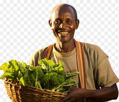 Photo of a *African man doing farm* smiling and bright --ar 3:2